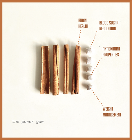 Cinnamon Chewing Gum (Pack of 2)