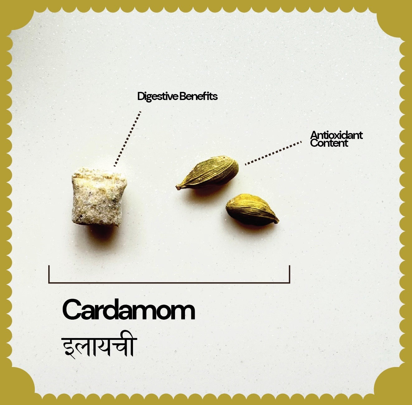 Cardamom Chewing Gum (Pack of 2)