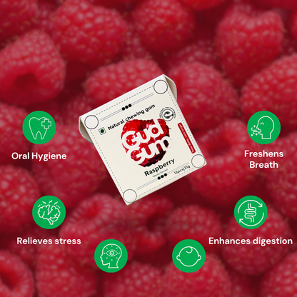 Raspberry Chewing Gum (15 chewing gums)