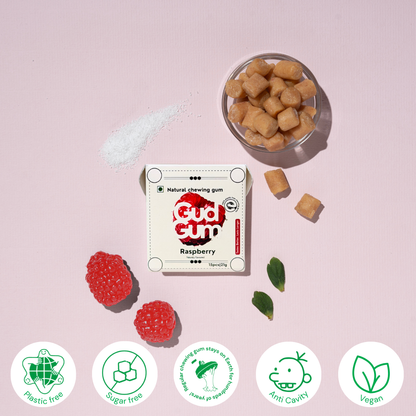 Gud Gum Mini Pack- Fruit & Mint Chewing Gum- Pack of 4 (60 chewing gums)