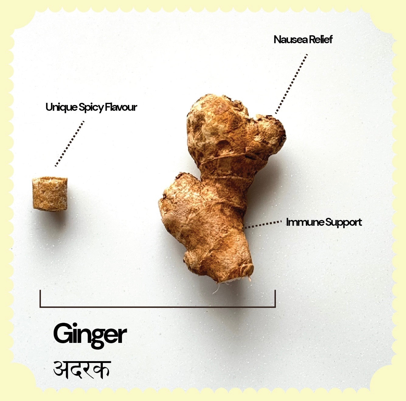 Ginger Chewing Gum - Plastic Free, Sugar Free, Natural, Biodegradable, Vegan Chewing Gums | No added colours and flavours- Gud Gum Originals (15 pieces per pack)- 21g